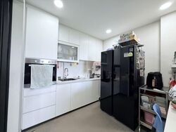 Dover Parkview (D5), Condominium #569701231